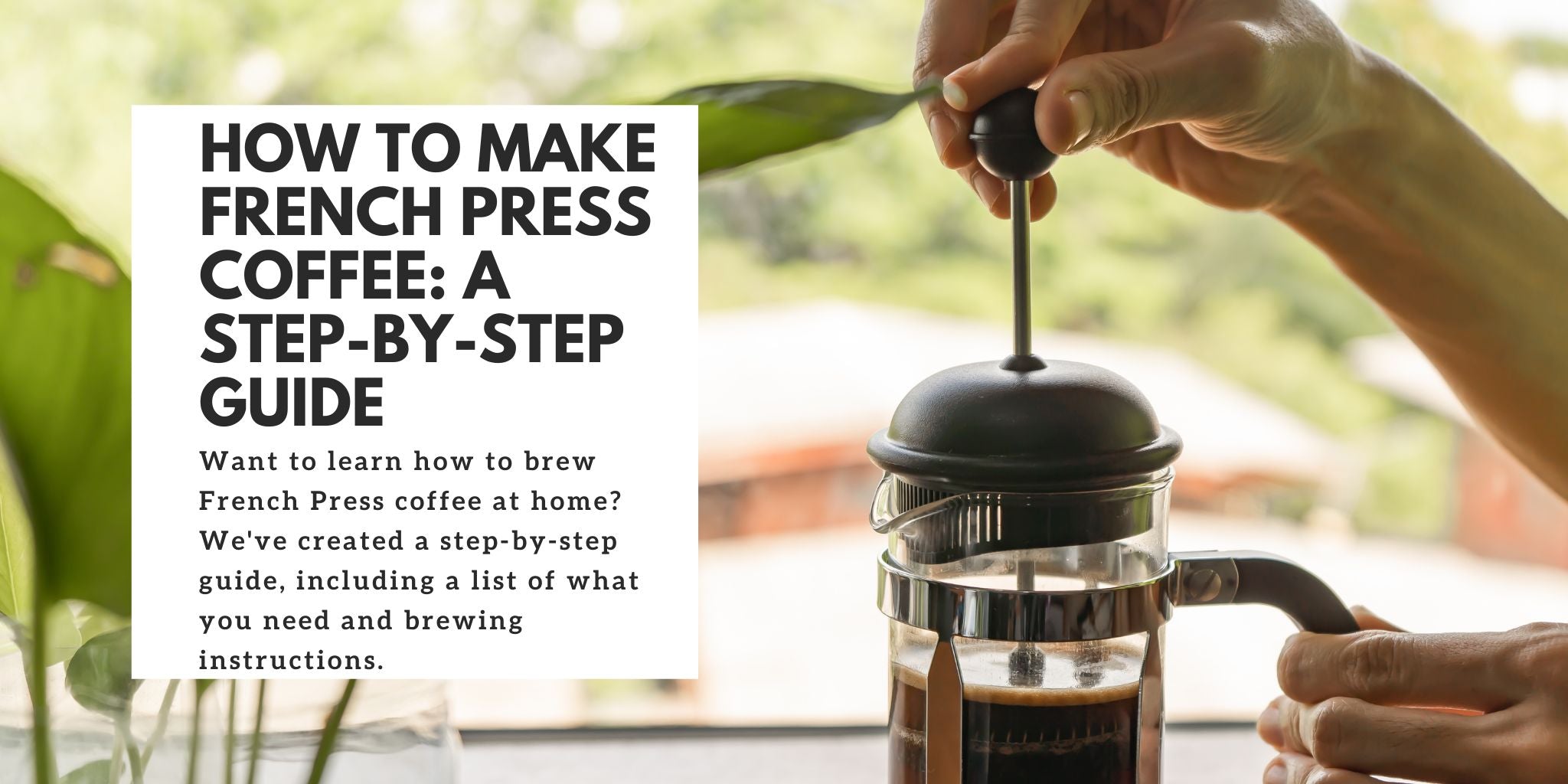 How to Make French Press Coffee: A Step-by-Step Guide – Tiny Potato Coffee  Company